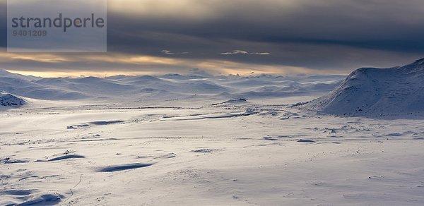 Norwegen Dovrefjell-Sunndalsfjella-Nationalpark