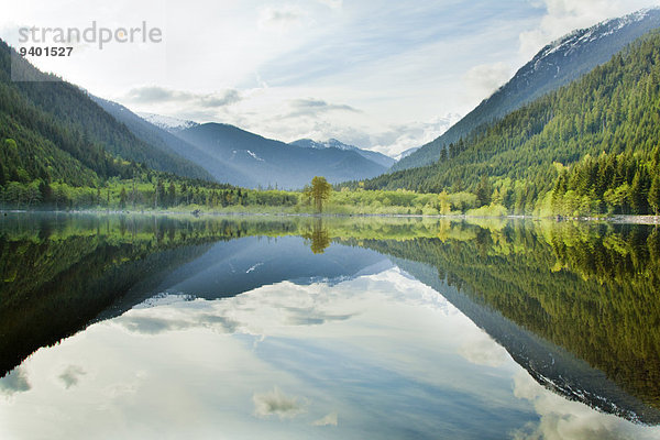 Lake reflections