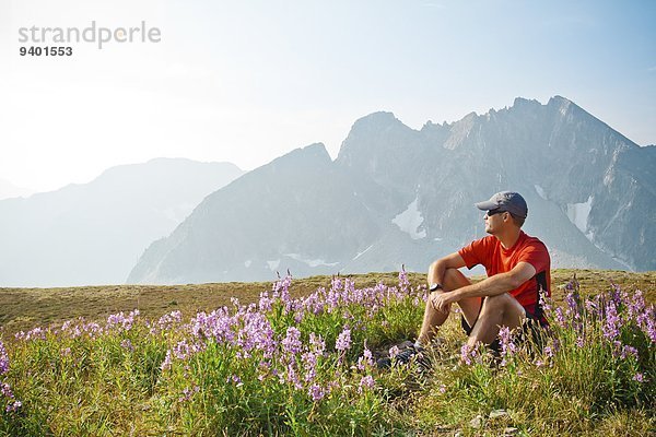 Alpine Meadow