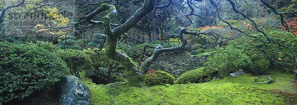 Ruhe Großstadt Garten Entdeckung Portland japanisch Oregon