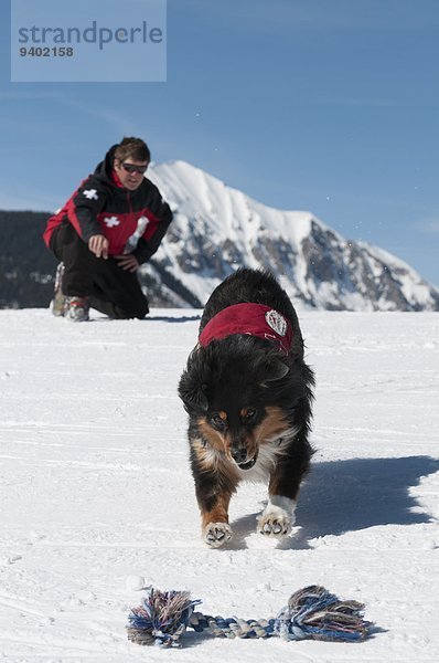 suchen Hund Training Wintersportort Ski Spitzkoppe Afrika Wachmann Crested Butte