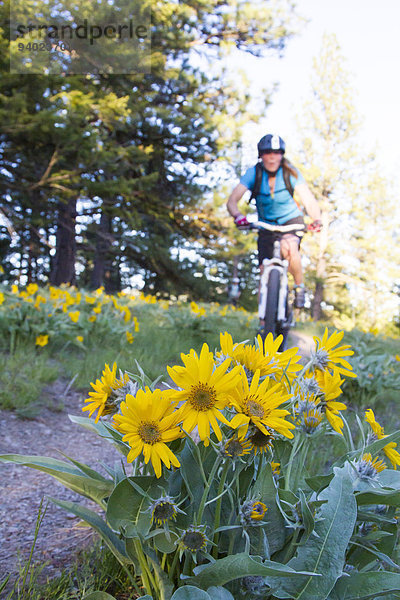 nahe Frau Berg Blume Fahrrad Rad Klapperschlange Wurzel