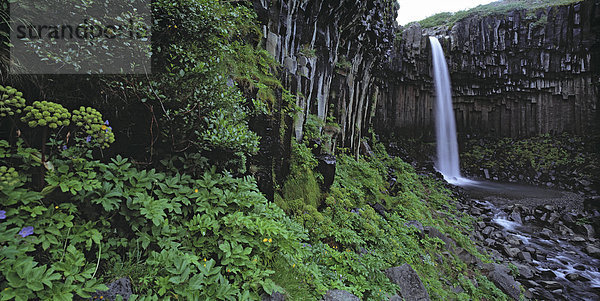 Nationalpark Außenaufnahme Landschaftlich schön landschaftlich reizvoll Berg Ruhe Landschaft Schönheit niemand Querformat Fluss Wasserfall Vatnajökull Frische Skaftafell Nationalpark Island Idylle freie Natur