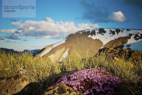 Felsformation Naturschutzgebiet Außenaufnahme Berg Tag Wolke Blume Landschaft Schönheit niemand lila Natur Querformat Wiese Gras Horizont British Columbia Kanada Fokus auf den Vordergrund Fokus auf dem Vordergrund Idylle freie Natur