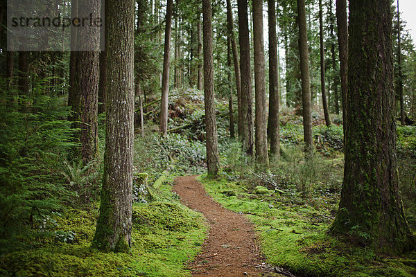 Nature path