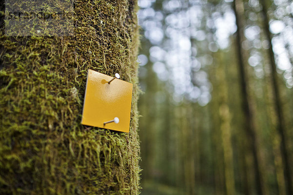 Trail markers