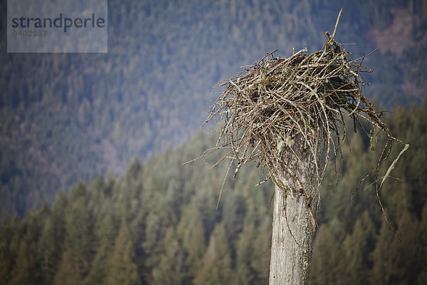 Eagle's Nest