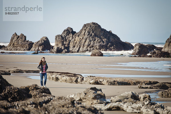 Felsbrocken Strand Robbe