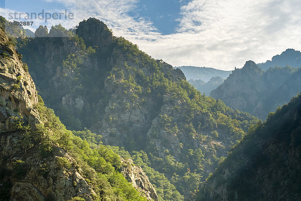 Felsformation Gebirge Außenaufnahme Landschaftlich schön landschaftlich reizvoll Frankreich Berg Tag Wolke Ruhe Himmel Landschaft Schönheit niemand Wald Natur Querformat Sonnenlicht Horizont Sehenswürdigkeit Idylle Languedoc-Roussillon Gebirgszug freie Natur