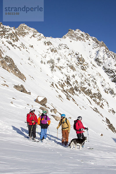 nahe 4 Himmel Hund groß großes großer große großen unbewohnte entlegene Gegend Ski Bienenstock