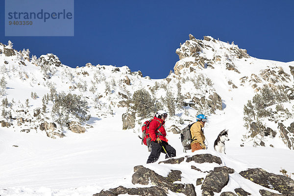 nahe Himmel Hund groß großes großer große großen unbewohnte entlegene Gegend 2 Ski Bienenstock