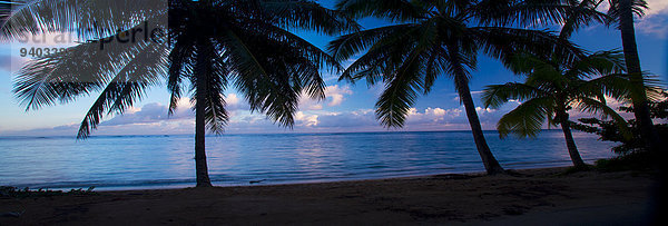 Vereinigte Staaten von Amerika USA Wasserrand Außenaufnahme Landschaftlich schön landschaftlich reizvoll Palme Ruhe Strand Sonnenuntergang Silhouette Landschaft Schönheit niemand Natur Querformat Gefahr dramatisch Hawaii Idylle Kauai freie Natur