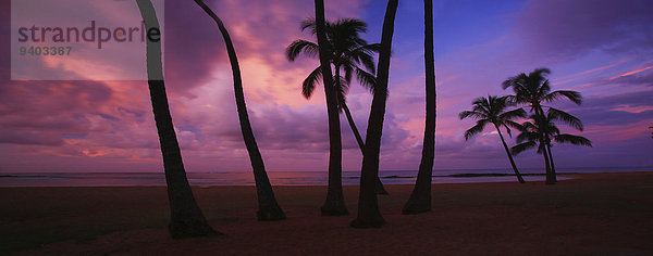 Vereinigte Staaten von Amerika USA Außenaufnahme Landschaftlich schön landschaftlich reizvoll Palme Ruhe Strand Sonnenuntergang Baum Silhouette Landschaft Ozean Schönheit niemand Natur Querformat Gefahr dramatisch Hawaii Idylle Kauai freie Natur