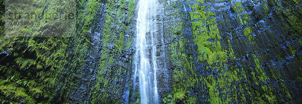 Vereinigte Staaten von Amerika USA Nationalpark Außenaufnahme Landschaftlich schön landschaftlich reizvoll Wasser Berg Tag Ruhe folgen Landschaft Schönheit niemand Querformat Fluss Wasserfall Frische Hawaii Haleakala Nationalpark grün Idylle Maui freie Natur