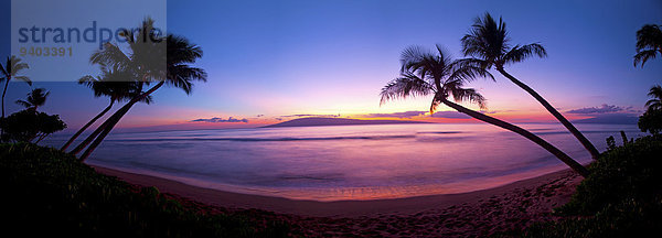 Vereinigte Staaten von Amerika USA Außenaufnahme Landschaftlich schön landschaftlich reizvoll Wasser Palme Ruhe Strand Sonnenuntergang Silhouette Landschaft Ozean Schönheit niemand Querformat Gefahr dramatisch Hawaii Idylle Maui freie Natur
