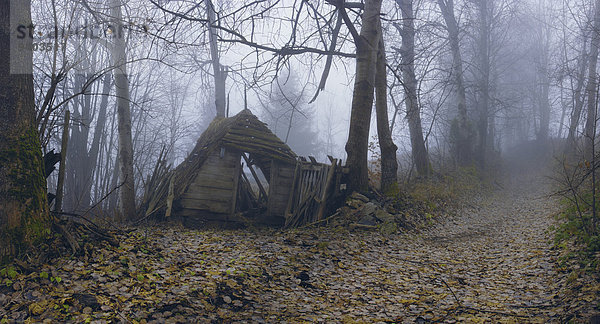 nebeneinander neben Seite an Seite Fernverkehrsstraße Nebel alt