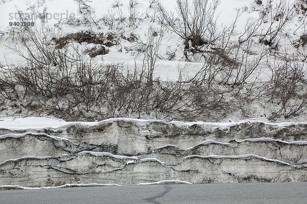 Vereinigte Staaten von Amerika USA Außenaufnahme Muster Schnee Winter Tag Ruhe Landschaft Hügel Schönheit niemand Fernverkehrsstraße weiß Natur Pflanze Querformat Kälte Chugach Mountains Alaska gefroren freie Natur Schnittmuster Thompson Pass