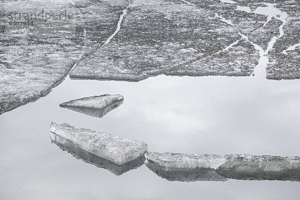 Vereinigte Staaten von Amerika USA Naturschutzgebiet Außenaufnahme Muster Tag Ruhe Schönheit Reinheit niemand Spiegelung Eis Natur Querformat Close-up Alaska auf dem Wasser treiben schwimmend gefroren Formatfüllend freie Natur Schnittmuster Einfachheit