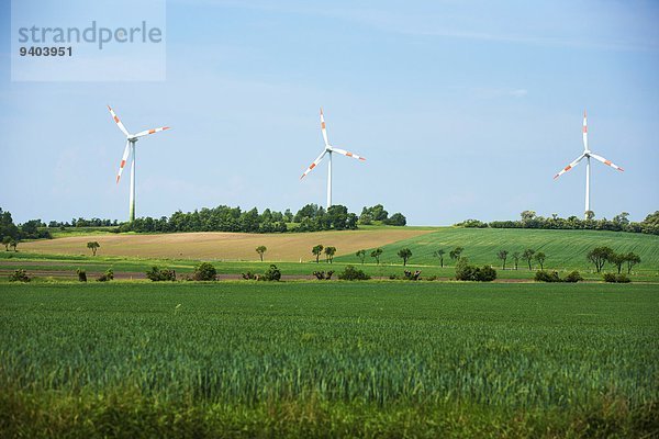 Windpark  Feldheim  Brandenburg  Deutschland