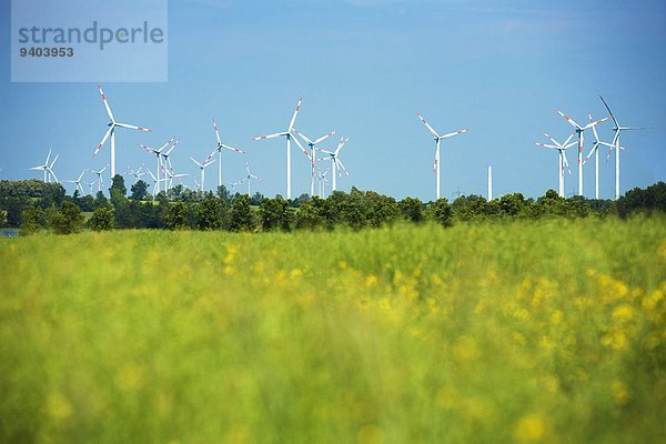 Windpark  Feldheim  Brandenburg  Deutschland