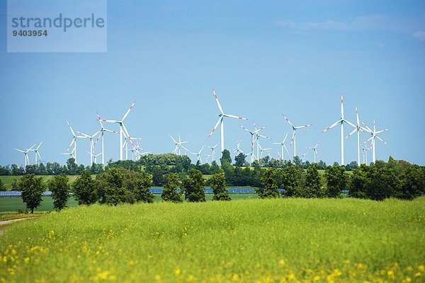 Windpark  Feldheim  Brandenburg  Deutschland
