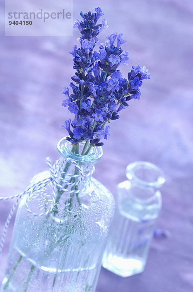 Lavendelblüte und Lavendelwasser in einer Glasflasche