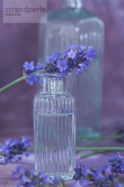 Lavendelblüte und Lavendelwasser in einer Glasflasche