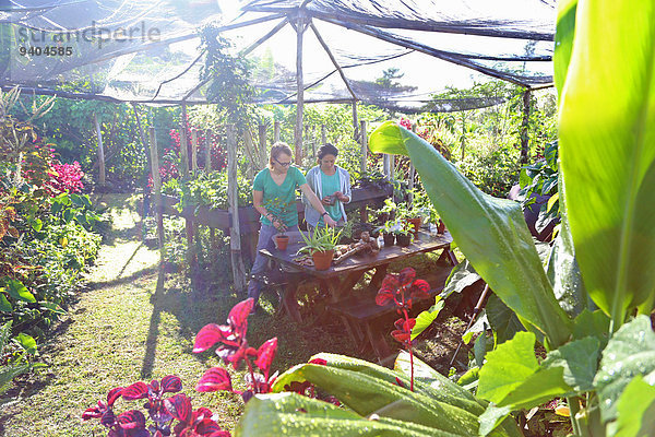 Paar-Gartenarbeit im sonnigen Garten unter dem Vordach