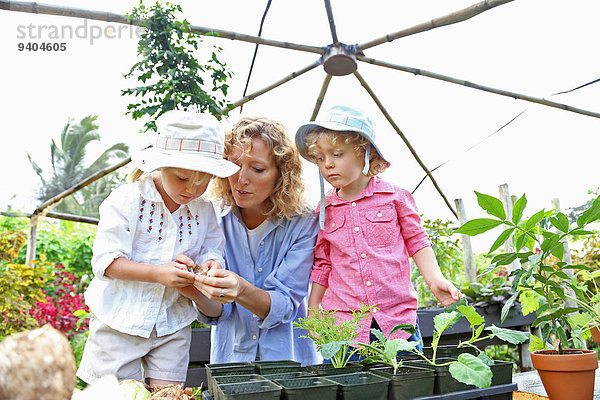 Frau mit zwei Kindern beim Pflanzen von Setzlingen im Gewächshaus
