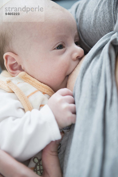 Baby boy breast feeding  close-up