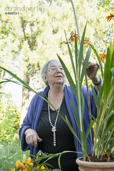 Senior Senioren sehen Pflanze Blumentopf