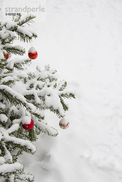Anschnitt bedecken Weihnachtsbaum Tannenbaum Dekoration Schnee
