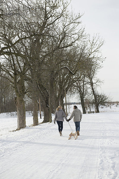 ziehen Schlitten Schnee