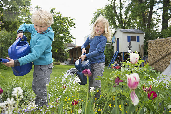 Wasser blond Blume Garten 2 jung