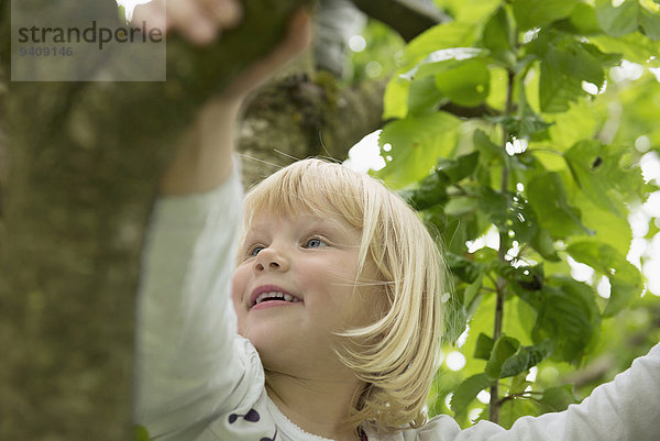 Baum klein Kirsche Garten Mädchen blond klettern