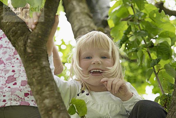 sitzend lachen Baum klein Kirsche Mädchen blond