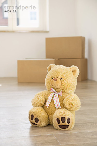 Boden Fußboden Fußböden Transport 1 Teddy Teddybär