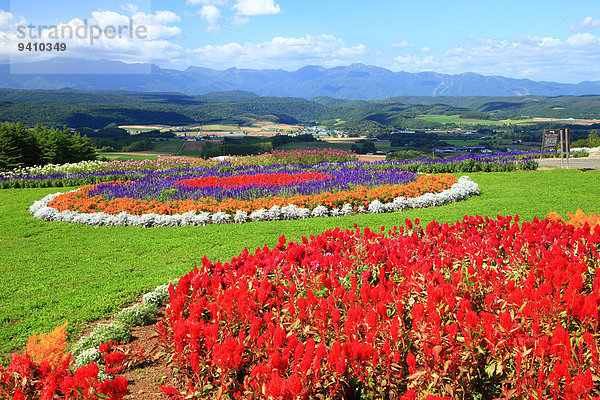 Hokkaido Japan