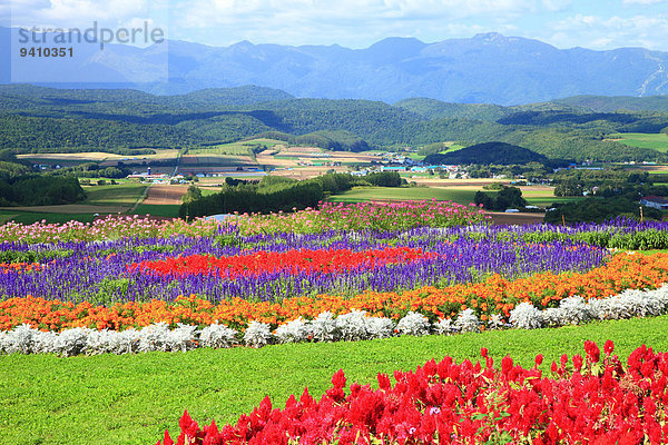 Hokkaido Japan