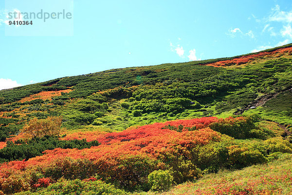 Hokkaido Japan