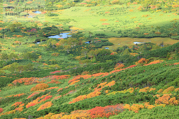 Hokkaido Japan