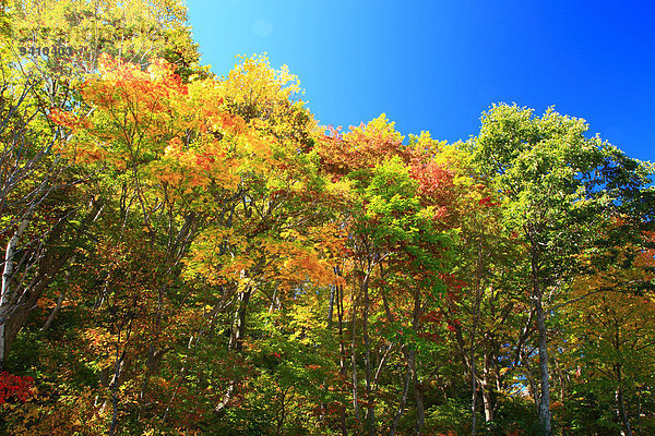 Nagano Japan