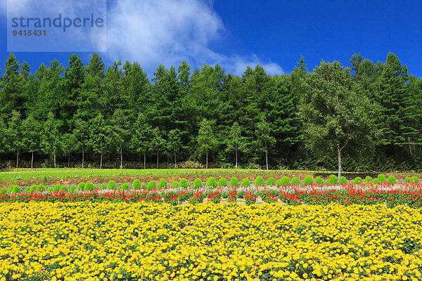 Hokkaido Japan