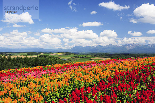 Hokkaido Japan