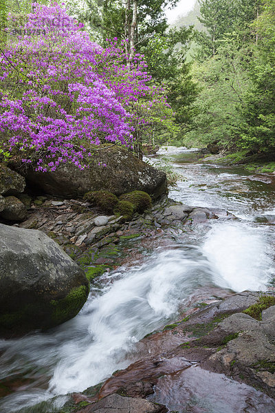 Nagano Japan