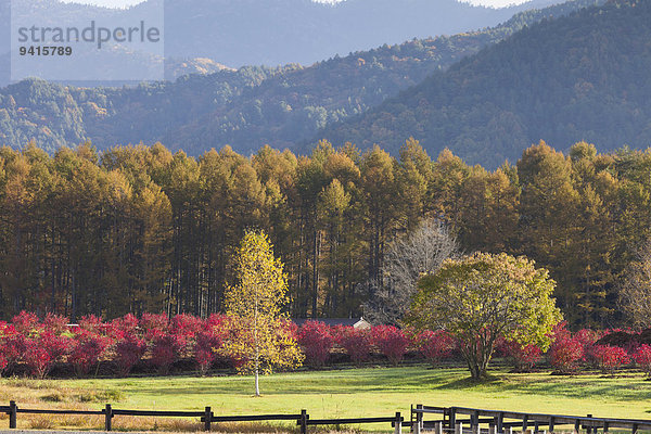 Nagano Japan