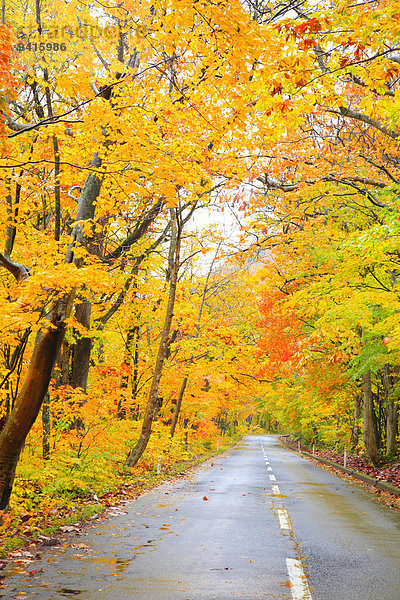 Herbst Japan