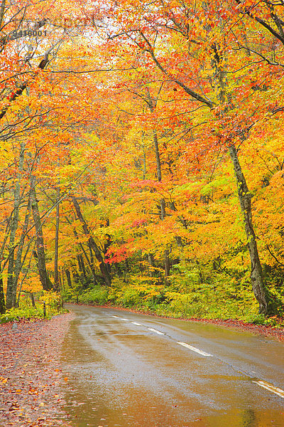 Herbst Japan