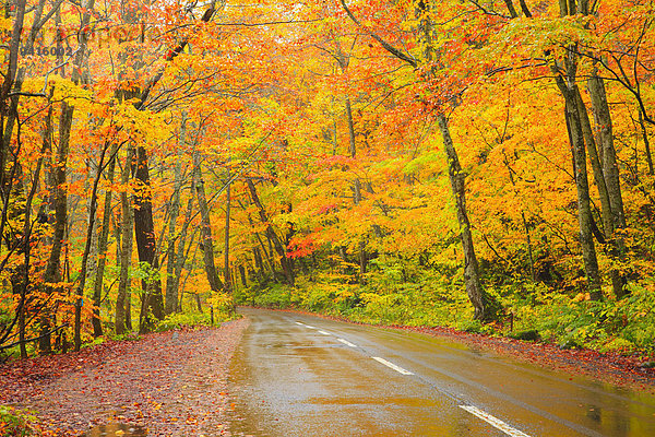 Herbst Japan