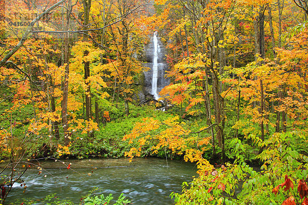 Herbst Japan